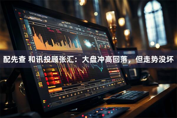 配先查 和讯投顾张汇：大盘冲高回落，但走势没坏